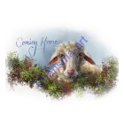 Lost Sheep Coming Home Digital Wall Art Prints