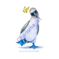 Blue-Footed Boobie Bird Animal PRINT